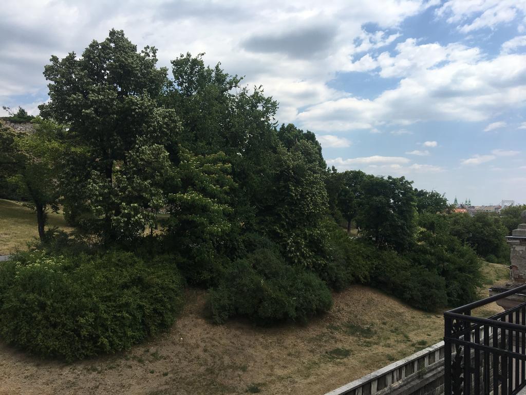 Castel View Apartment Budapest Luaran gambar